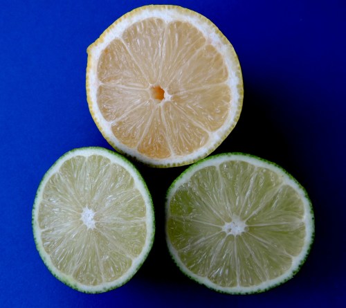 Lime och citron inuti