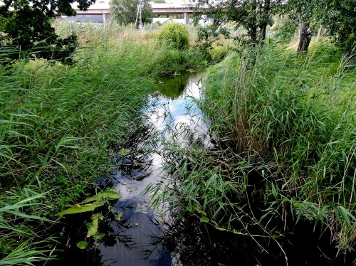 Väsbyån i juli 2015