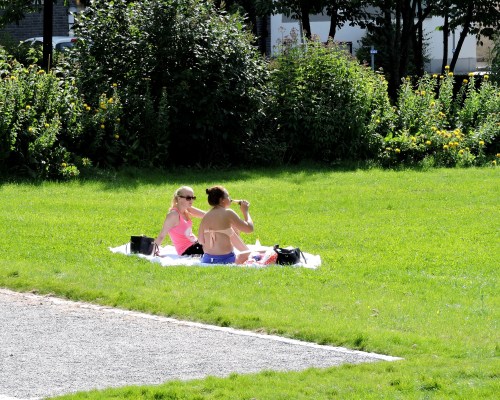 Väsby Suseboparkens nya fina solbelysta gräsmatta.