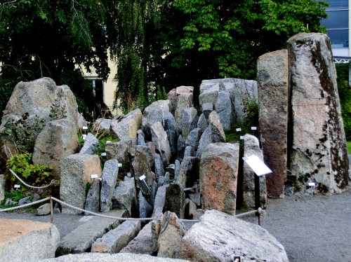 Uppsala Bot högfjäll på flata marken