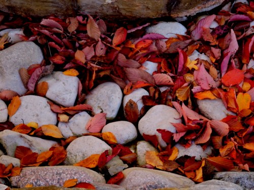 Den knögliga väägen