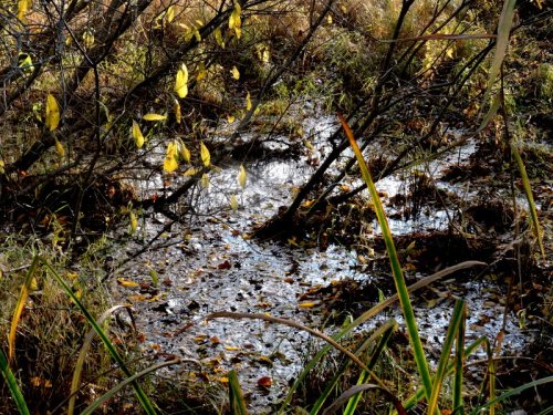 Här vill jag inte ramla i