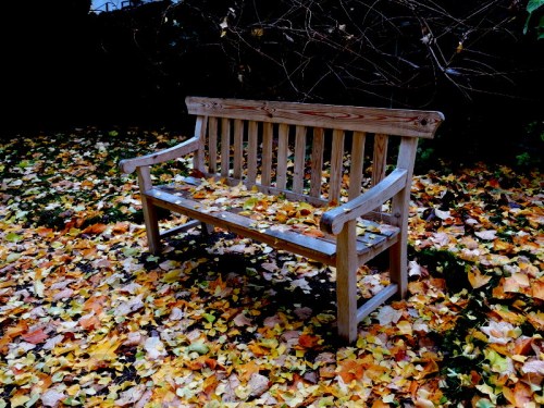 Här satt det förr en katt