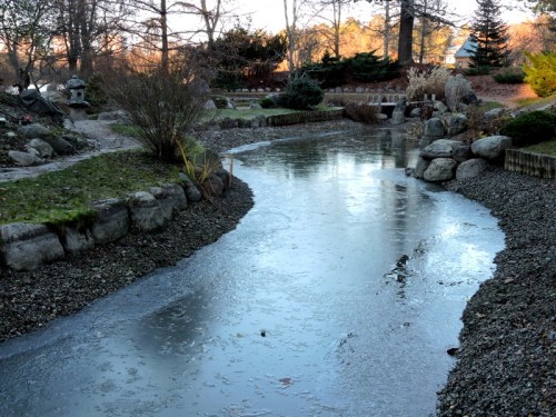 Japanska dammen med nyis