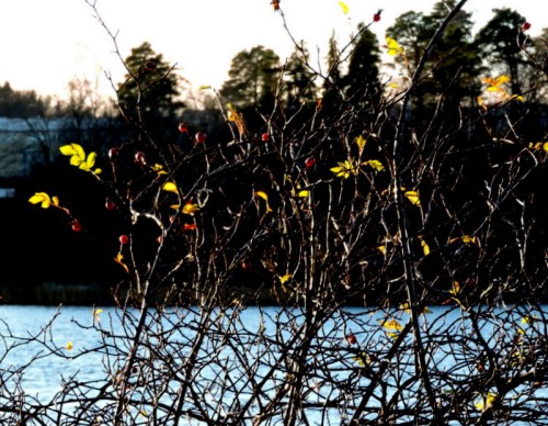 Vi rundar sista bergsväggen och kommer åter in i ljuset