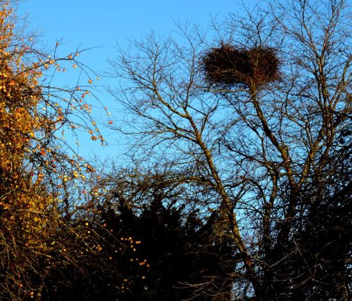 Om man lyfter blicken