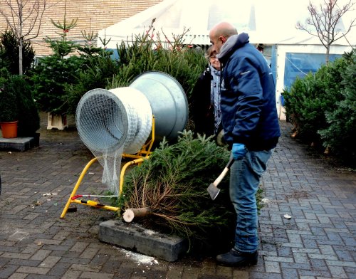 Avsågad ska spetsas