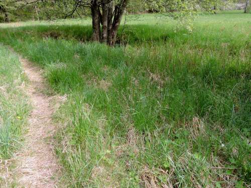 Här mitt i bilden fanns källan